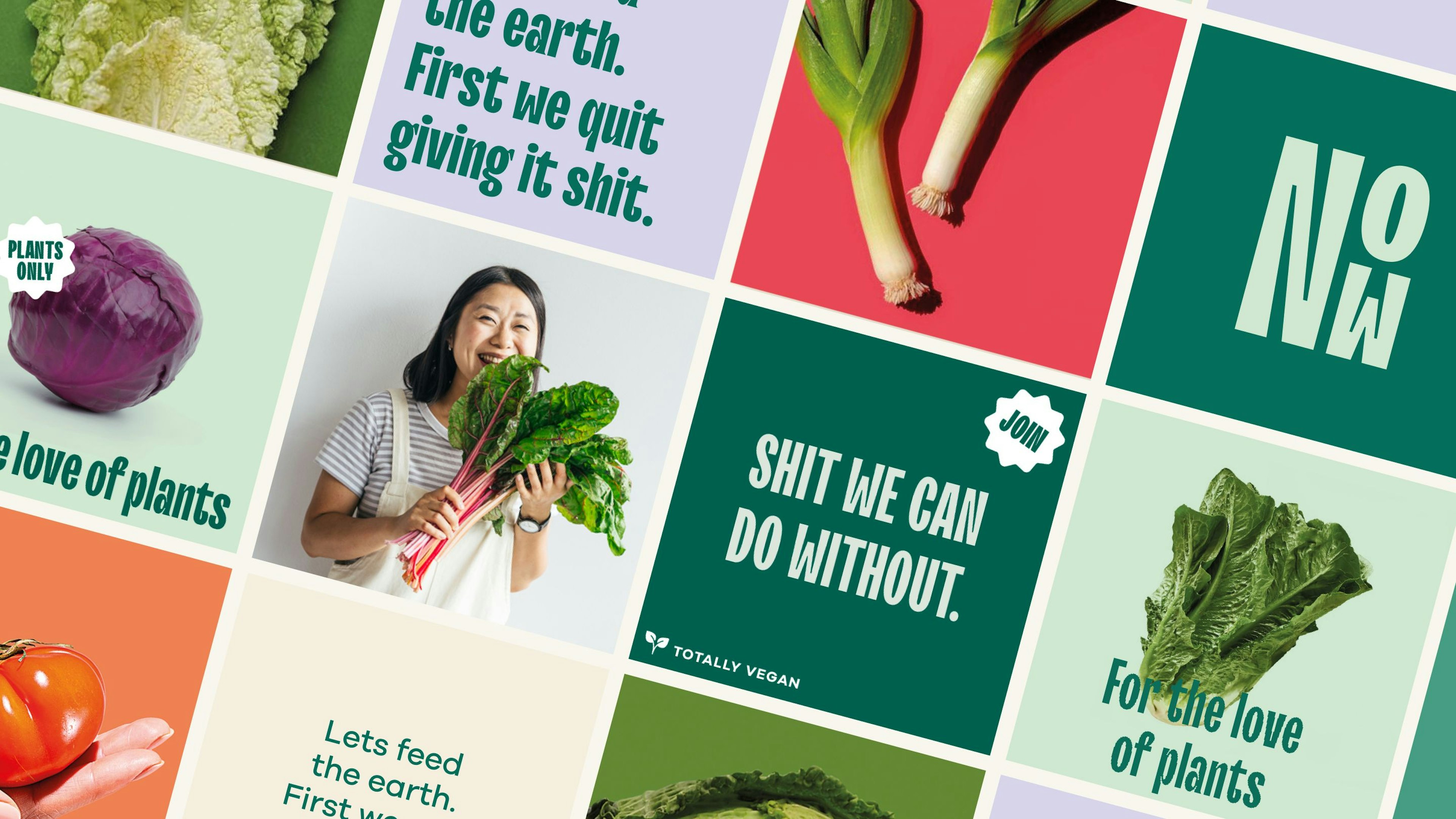 An overview of several social media templates with various images of vegetables and the typography of No Shit