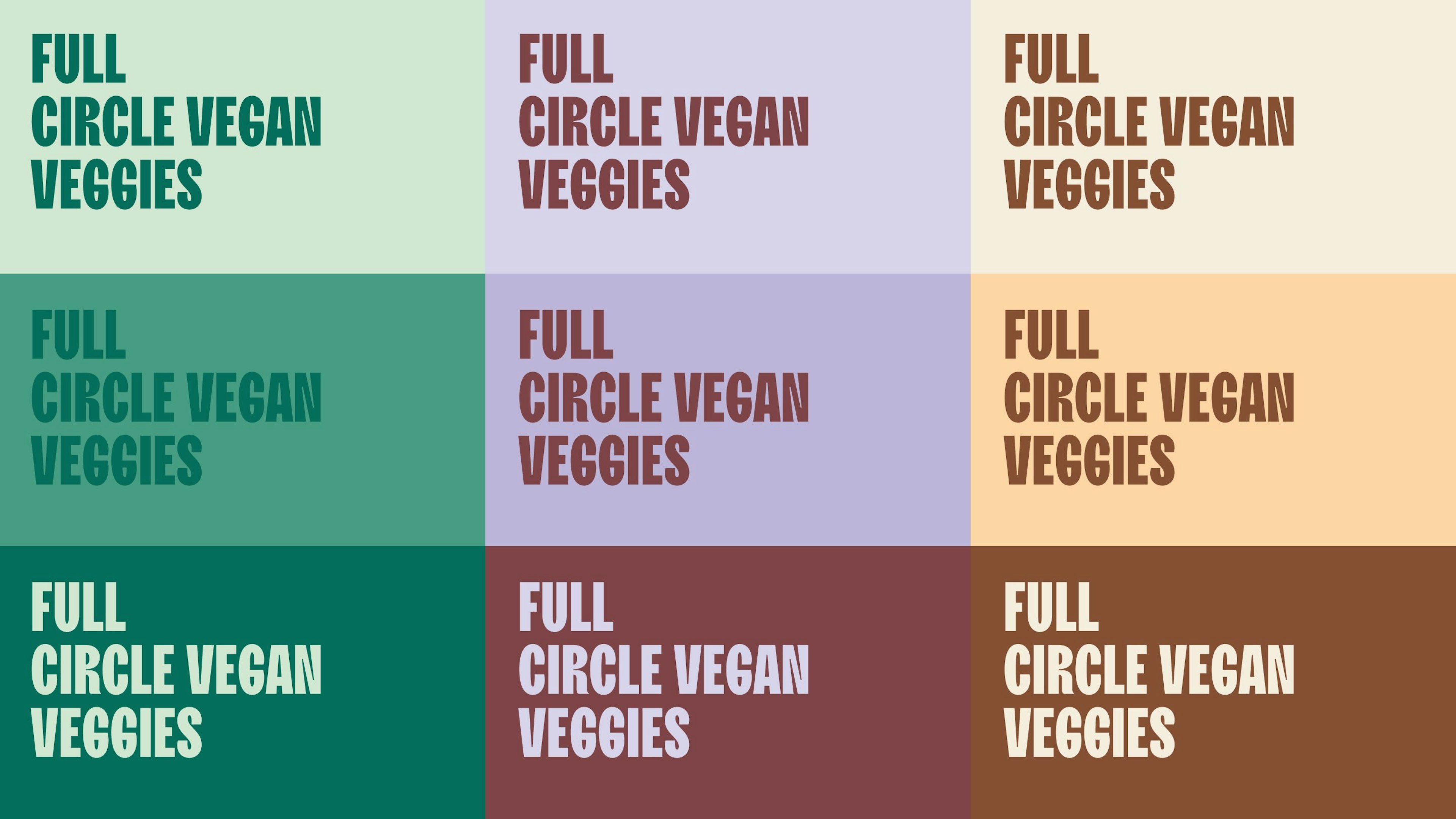 Nine rectangular shapes containing the No Shit tagline, each in a different color according to the color palette