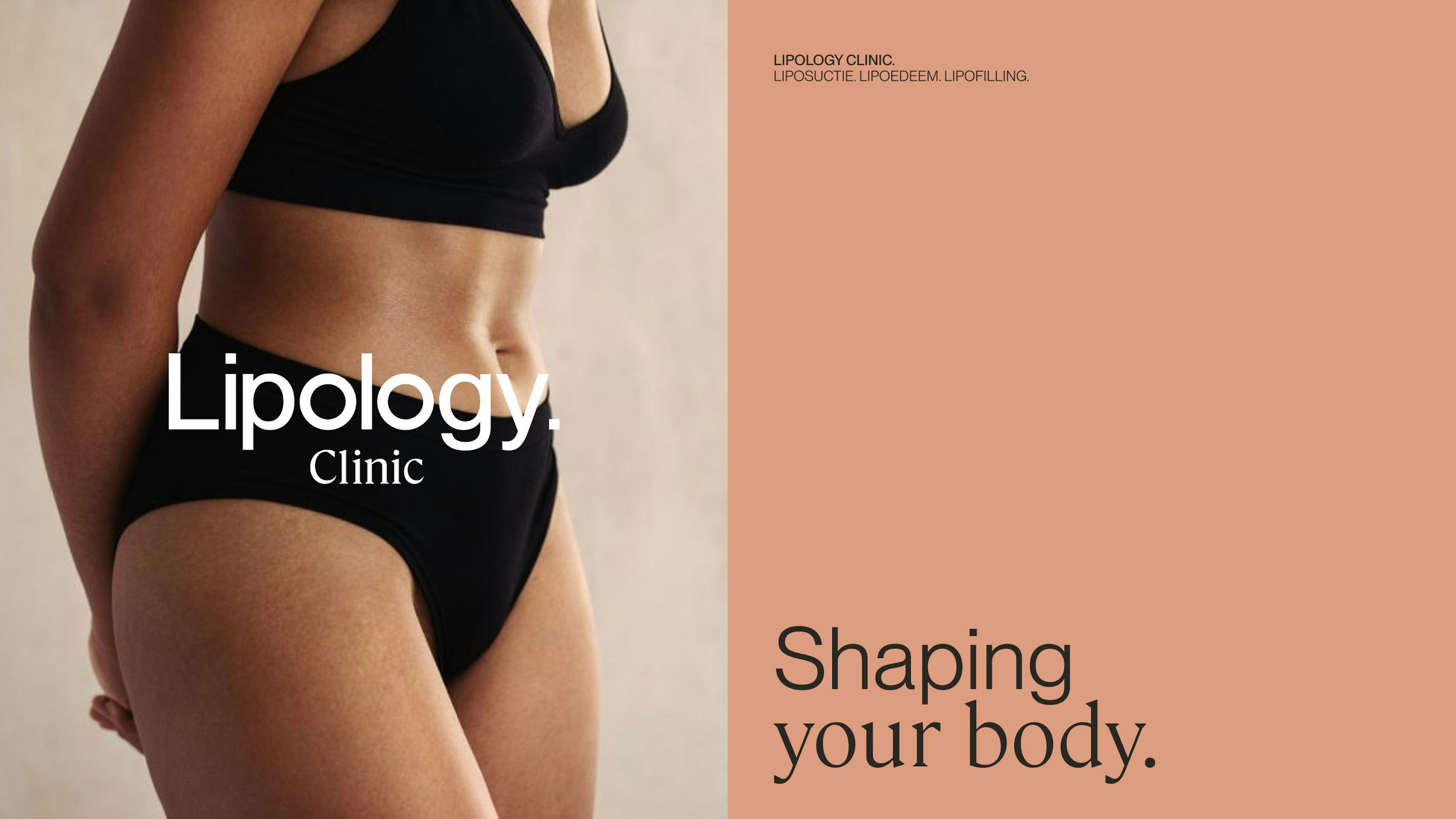 An image of a flyer where Lipology's visual identity comes to life